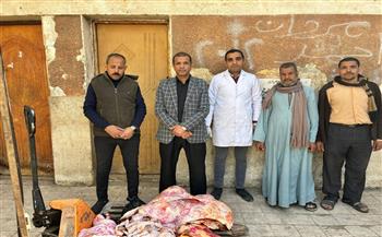 ضبط 139 كيلو لحوم فاسدة وغير صالحة للاستهلاك الآدمي بسوهاج