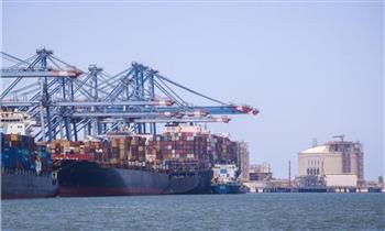 تداول 25 سفينة حاويات وبضائع عامة بميناء دمياط