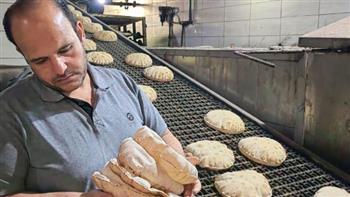 محافظ الدقهلية: تحرير 366 مخالفة تموينية خلال حملات مكثفة بالأسواق على مدار 3 أيام