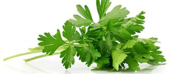 أضف البقدونس لمائدتك في رمضان