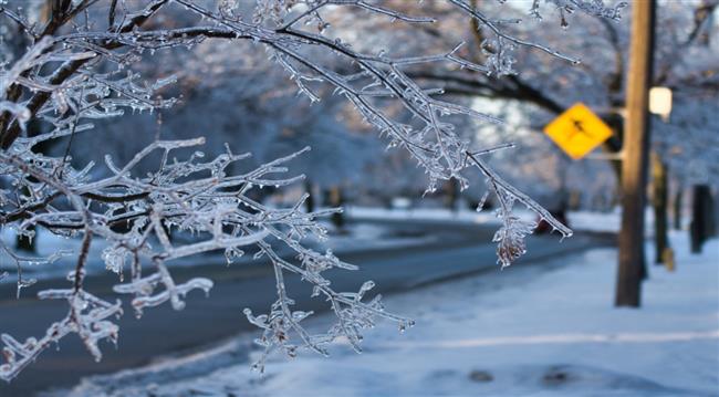 إيقاف السفر .. طوارىء في ولايات أمريكية بسبب عاصفة ثلجية