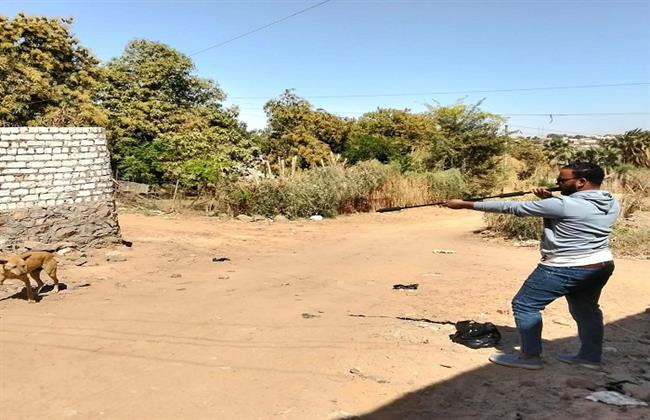  ضمن الحملة القومية لمكافحة مرض السعار.. وزارة الزراعة: تحصين أكثر من 12 ألف كلب حر وتعقيم أكثر من 1500 كلبا