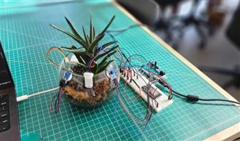 جهاز ذكاء اصطناعي يجعل النباتات تتحدث