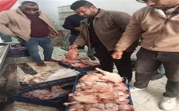 ضبط 42 طنًا من مصنعات اللحوم والأحشاء والرؤوس الحيوانية والدواجن الفاسدة بالجيزة 