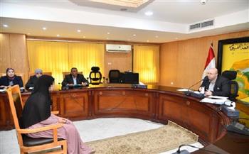 محافظ الفيوم يوجه بتوفير تدخلات الحماية الاجتماعية لعدد من السيدات المعيلات