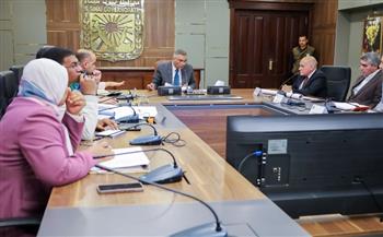 محافظ جنوب سيناء يبحث الموقف التنفيذي للمشروعات التنموية الجارية