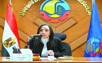 محافظ البحيرة توجه بتكثيف الجهود لرفع كفاءة المشروعات الخدمية 