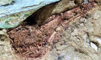 بعد جدل واسع.. علماء يكشفون حقيقة طفل عمره 28 ألف عام