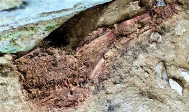 بعد جدل واسع.. علماء يكشفون حقيقة طفل عمره 28 ألف عام