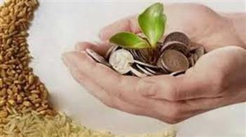 الأزهر للفتوى يوضح كل ما تريد معرفته عن زكاة الفطر