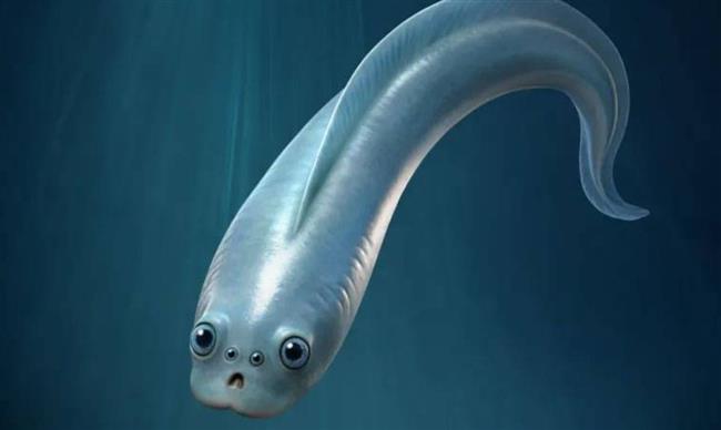 سمكة بـ 4 عيون تدهش العلماء.. قدرات غير مسبوقة