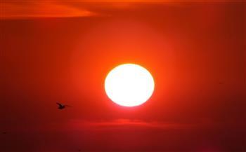 تظهر حاليًا كقرص مثالي.. اختفاء مفاجئ للبقع على الشمس