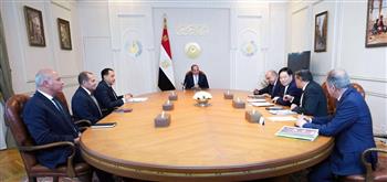 الرئيس السيسي يبحث مع رئيس شركة GCL الصينية توطين صناعة الطاقة المتجددة في مصر