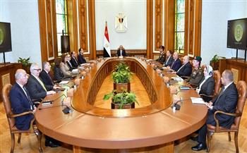 الرئيس السيسي يؤكد على أهمية الاستثمار في رأس المال البشري عبر التدريب ونقل المعرفة 