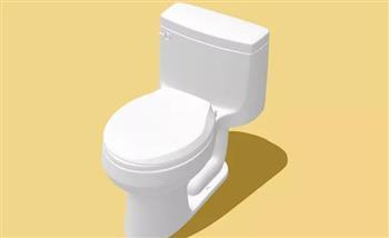 لربات البيوت.. 6 أشياء احذري إلقاءها في المرحاض