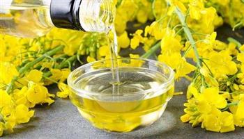 الصين تلغي الرسوم الجمركية على الكانولا الكندية