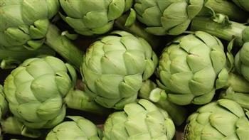 فوائد تناول الحامل للخرشوف في رمضان مذهلة