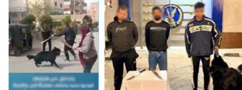 ضبط أطراف مشاجرة بالأسلحة البيضاء في المنوفية