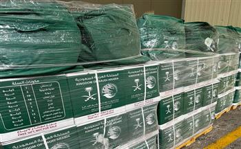 مطار العريش الدولي يستقبل طائرة مساعدات سعودية لصالح غزة