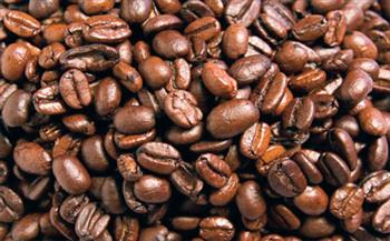 ارتفاع صادرات البن الأوغندية بنسبة 22% في ديسمبر