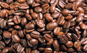 ارتفاع صادرات البن الأوغندية بنسبة 22% في ديسمبر