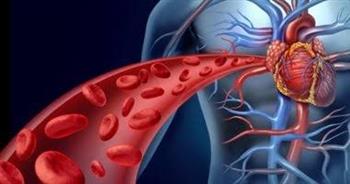 5 نصائح لتنشيط الدورة الدموية في الرأس