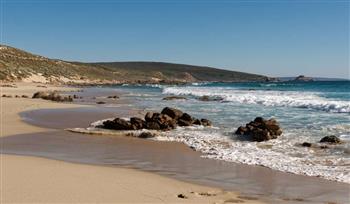 عنوان للبطولة.. طفل أسترالي يسبح 4 كم في الظلام لإنقاذ عائلته من الغرق