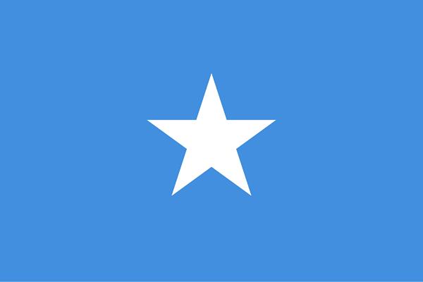 الصومال يبحث مع الاتحاد الأوروبي سبل تعزيز التعاون الصحي واللوجيستي