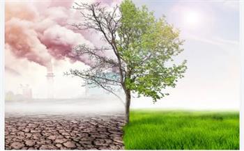 "تغير المناخ": التذبذبات المناخية في مصر غير طبيعية وتؤثر على الإنسان والمحاصيل