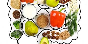 4  نصائح لصحة جهازك الهضمي