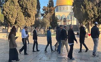 مستوطنون يقتحمون الأقصى ويؤدون طقوسًا تلمودية في باحاته