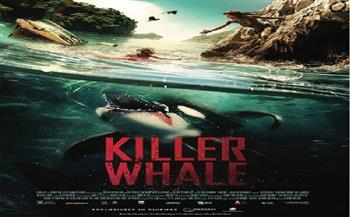 محاولة للنجاة من حوت الأوركا المفترس.. فيلم KILLER WHALE في دور العرض المصرية