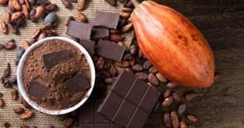 تعرف على فوائد الكاكاو .. منها خفض ضغط الدم