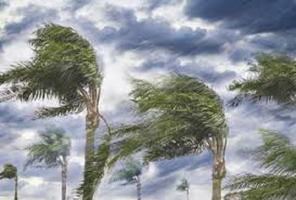 تعرف على موعد نهاية شهر طوبة وبداية أمشير أبو الزعابيب