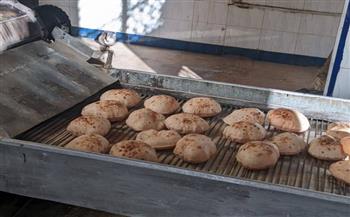 محافظ المنوفية: ضبط ما يقرب من 12 طن مواد غذائية و1000 لتر سولار مجهول المصدر 