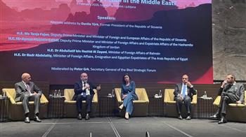 وزير الخارجية الأردني يؤكد ضرورة الالتزام بوقف إطلاق النار في غزة ودعم الدولة الفلسطينية المستقلة