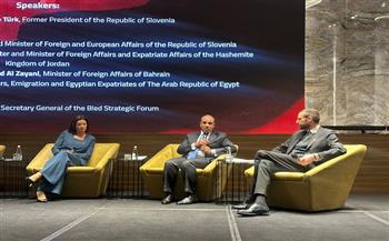 وزير الخارجية: أي مقاربة للسلام يجب أن تربط بين أزمة غزة والأفق الأشمل للقضية الفلسطينية