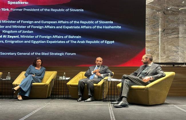 وزير الخارجية: أي مقاربة للسلام يجب أن تربط بين أزمة غزة والأفق الأشمل للقضية الفلسطينية