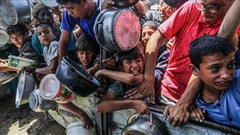 مسؤولة أممية تطالب بإدخال المساعدات الانسانية والطبية إلى غزة دون عوائق