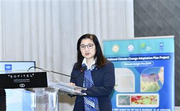 مسؤولة أممية: تعاون وثيق مع مصر لتنفيذ مشروع تجريبي للتكيف مع تغير المناخ في دمياط