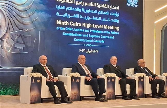 رئيس "الدستورية العليا": القضاء الدستوري الأفريقي ساهم في تحقيق الديمقراطية والاستقرار المجتمعي