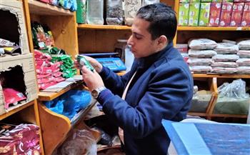 محافظ كفرالشيخ: تحرير 67 محضرًا لمخالفات تموينية وضبط أدوية بيطرية وسلع متنوعة منتهية الصلاحية 