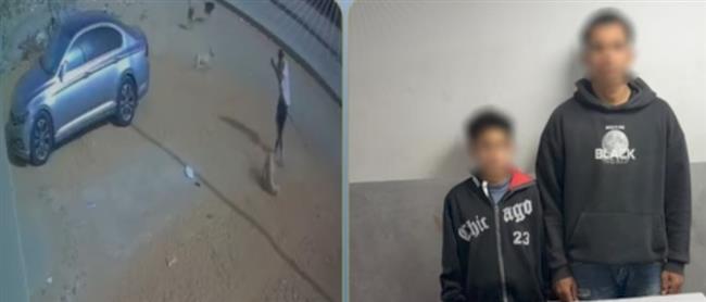 عقب تداول الفيديو.. ضبط شخصين اعتديا على كلب ضال بالجيزة