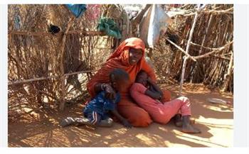 رئيسة مكتب أطباء السودان لحقوق الإنسان: 2 مليون سوداني على بعد خطوة من الموت جوعا