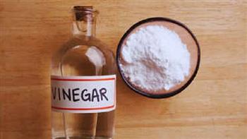 5 حلول منزلية آمنة للتخلص من النمل بلا مبيدات.. منها الخل