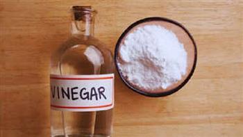 5 حلول منزلية آمنة للتخلص من النمل بلا مبيدات.. منها الخل