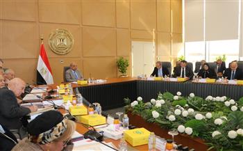 "القابضة للكهرباء": تنفيذ استثمارات بالشركة القابضة خلال 2025 بنحو 128 مليون جنيه