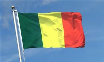 مالي تنشئ شركة مملوكة للدولة لإدارة حصصها في شركات التعدين
