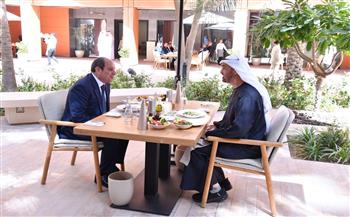 الرئيس السيسي ونظيره الإماراتي يشددان على سرعة بدء عمليات التعافي المبكر وإعادة إعمار غزة