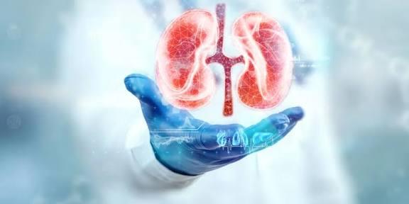 نصائح لصحة أفضل لمريض الكلي